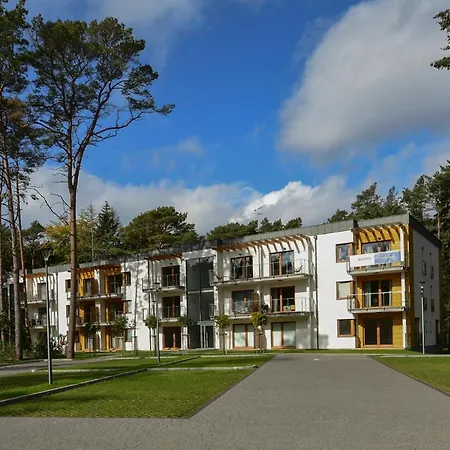 Mountsea , Grunwaldzka