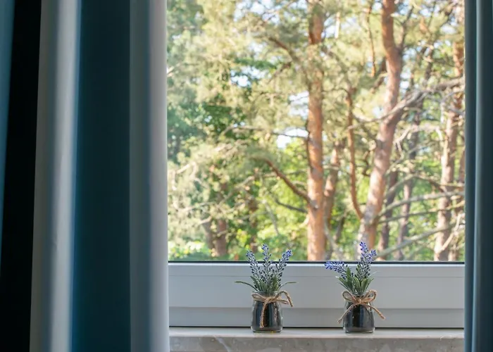 Apartment Mountsea , Grunwaldzka